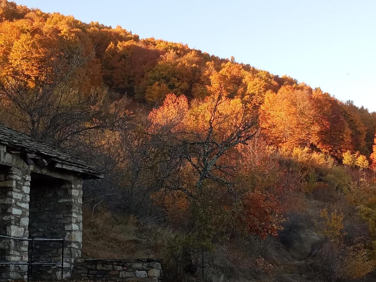 Guesthouse Kontogianni - Materka Nimfaíon Buitenkant foto